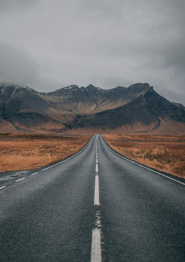 Mood image fresh-8.jpg