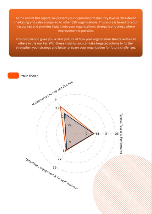 Maturity Index Report Example